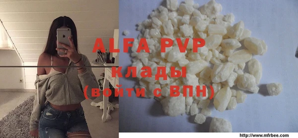 ГАЛЛЮЦИНОГЕННЫЕ ГРИБЫ Белокуриха