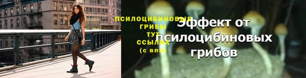 прущая мука Беломорск