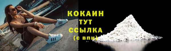 ГАЛЛЮЦИНОГЕННЫЕ ГРИБЫ Белокуриха