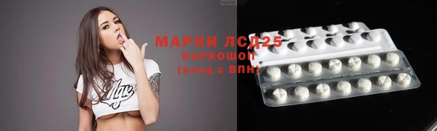 ГАЛЛЮЦИНОГЕННЫЕ ГРИБЫ Белокуриха