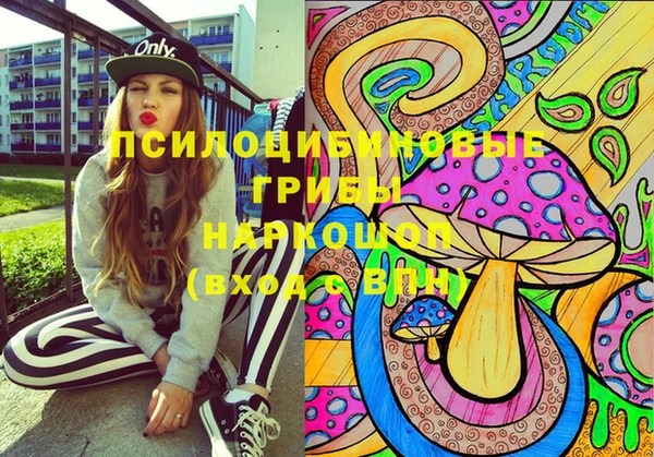 ГАЛЛЮЦИНОГЕННЫЕ ГРИБЫ Белокуриха