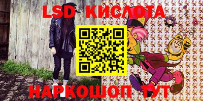 2c-b Кингисепп