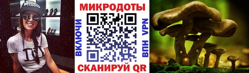 Псилоцибиновые грибы MAGIC MUSHROOMS  Дальнегорск 