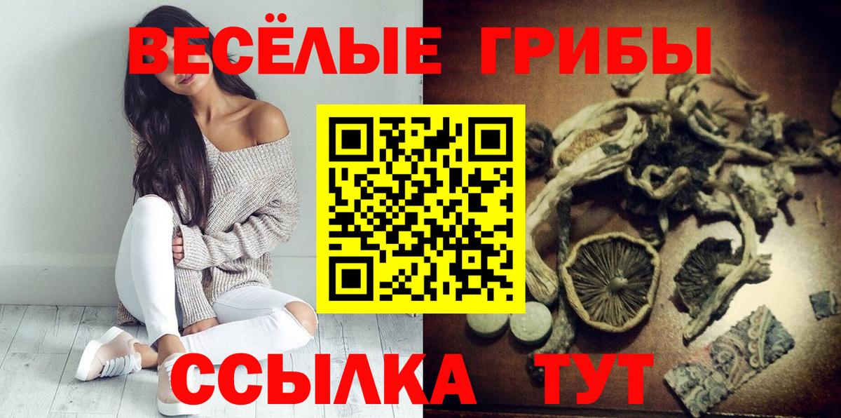 Галлюциногенные грибы мицелий  Дальнегорск 