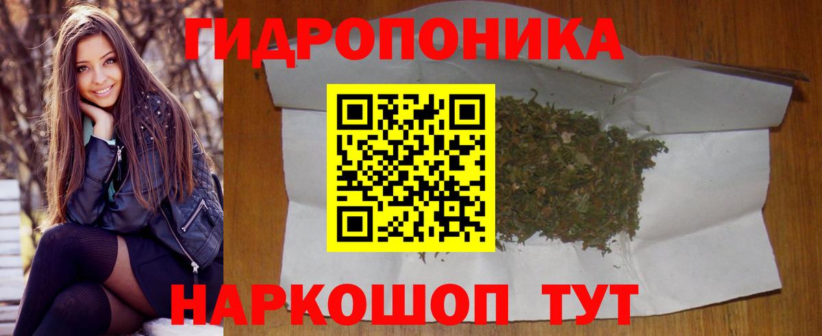 Бошки марихуана Bruce Banner Дальнегорск